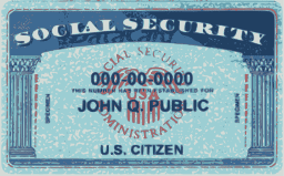 256px-Social_Security_Card.svg