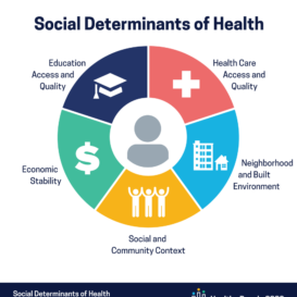 Healthy People 2030 SDOH Graphic Domain Labels